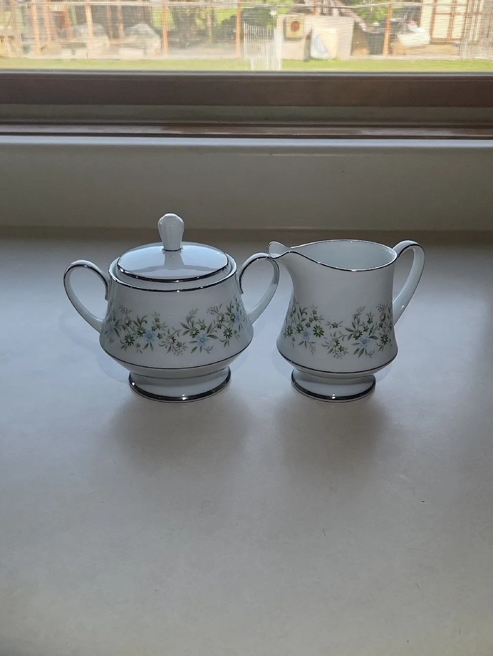 Vintage Noritake Savannah Pattern Made In Japan With Platinum Rim